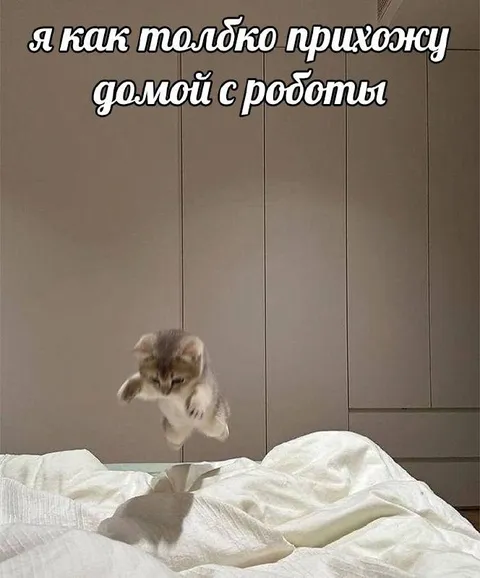 Котёнок после работы