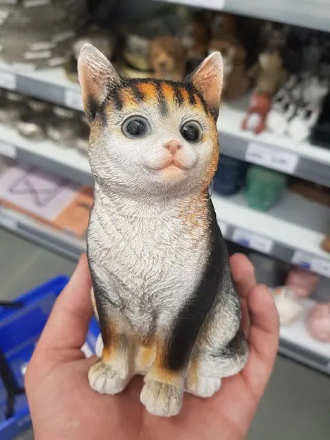 Слишком серьёзный кот