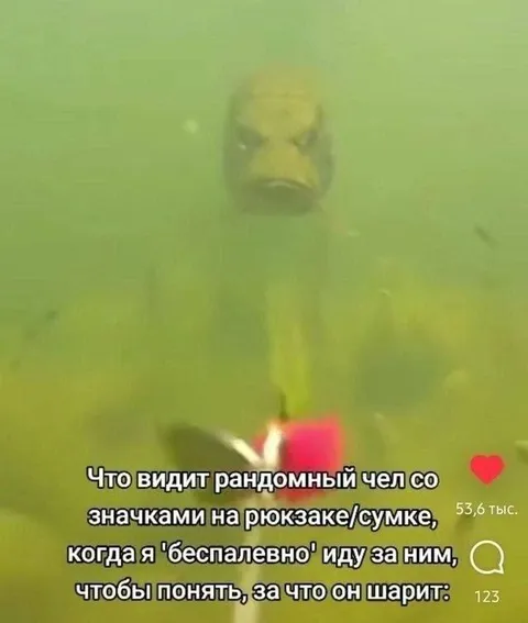 Иду за человеком со значками