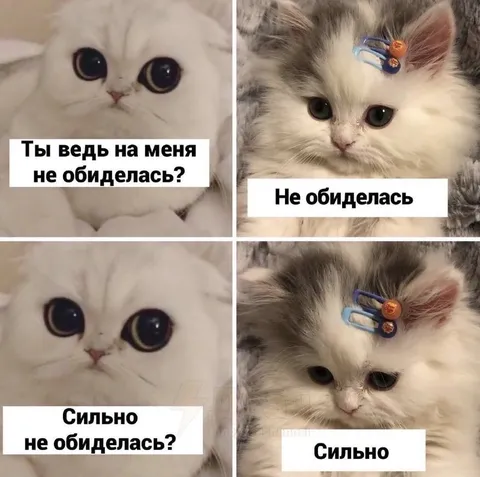 Сильно не обиделась?