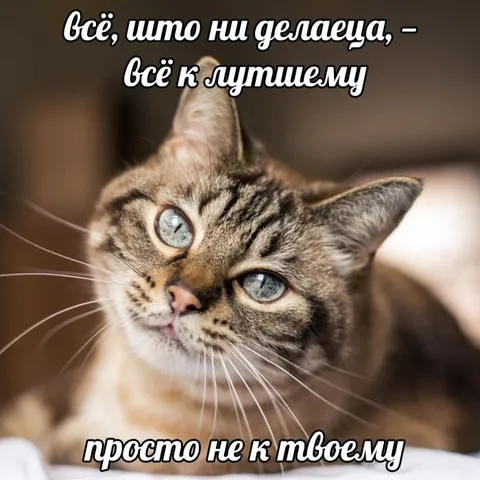Всё к лучшему, кроме твоего