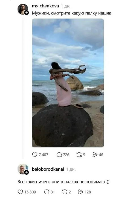 Какую палку нашла