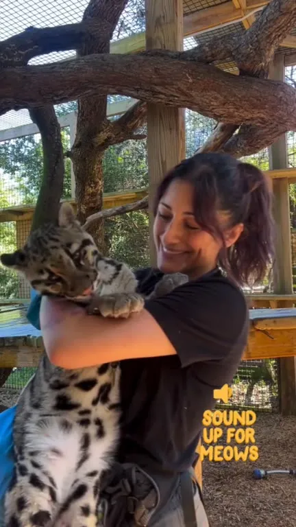 Woman Says I Love You to Wild Cat