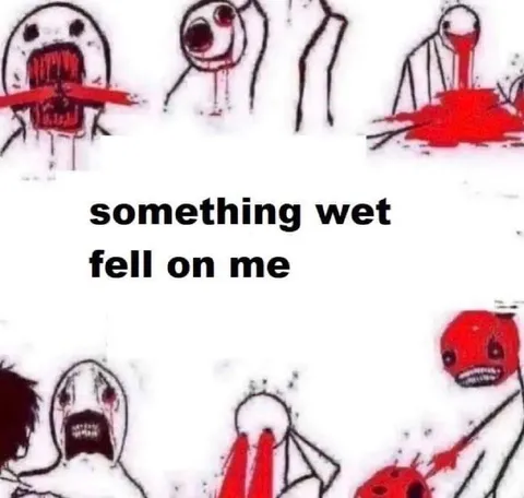 Something Wet Fell on Me