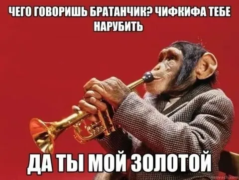 Чего говоришь, братанчик?
