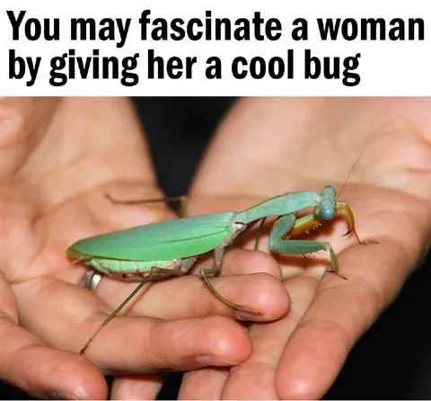 Cool Bug Fascinates Woman