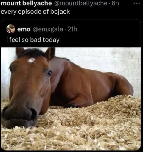 Every Episode of BoJack Horseman