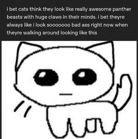 Cats Think They Look Like Panthers