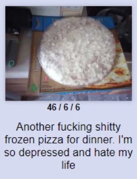 Another Shitty Frozen Pizza