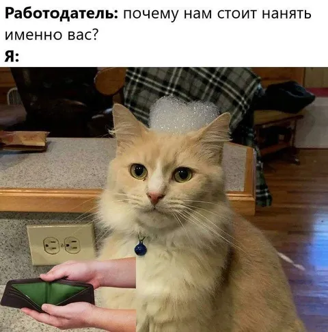 Почему мы должны нанять именно вас