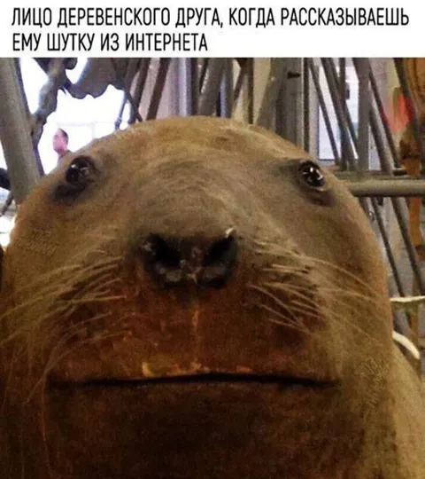 Лицо деревенского друга