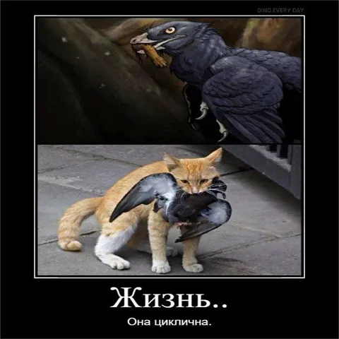 Жизнь циклична