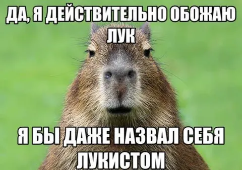 Капибара обожает лук