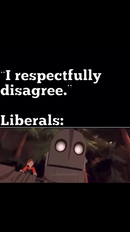 I Respectfully Disagree: Liberals