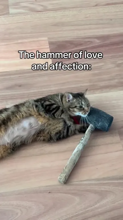The Hammer of Love and Affection