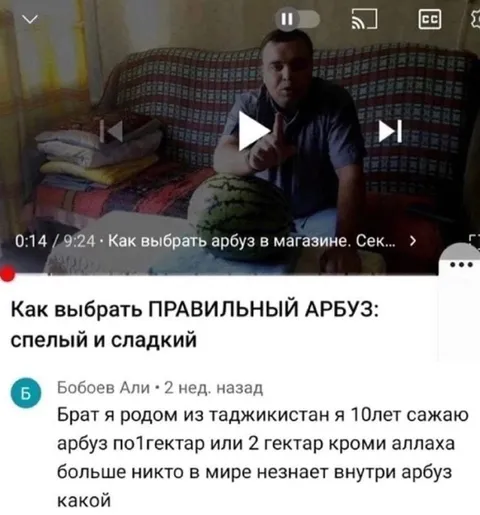 Как выбрать правильный арбуз