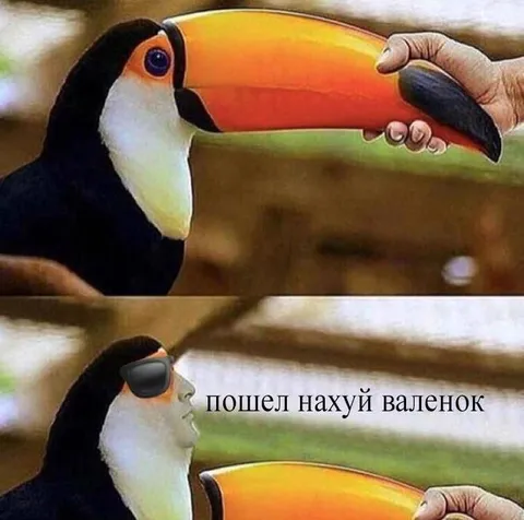Тукан послал нахуй валенок