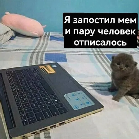 Запостил мем — все отписались