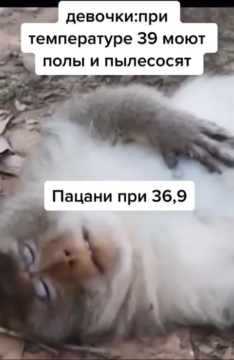 Парни при температуре 36,9