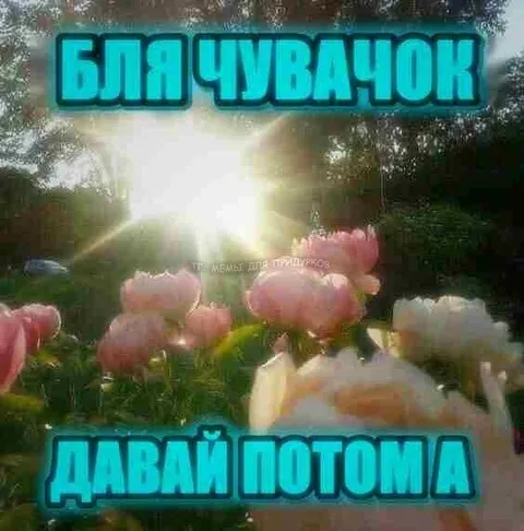 Блячувачок: давай потом