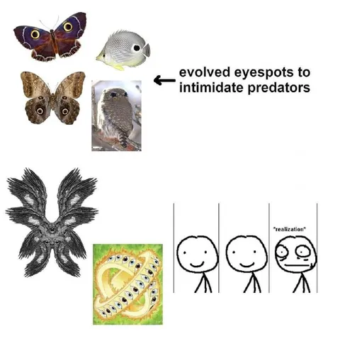 Evolution Accidentally Created Eyes