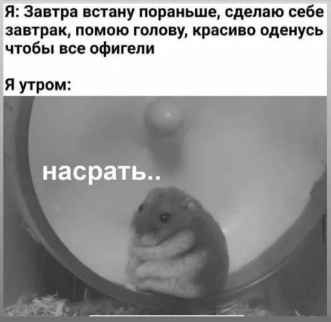Амбициозные планы утром
