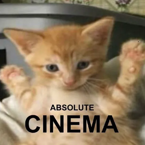 Absolute Cinema Kitten