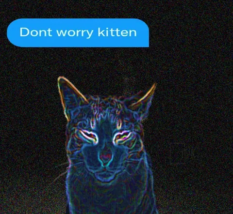 Dont Worry Kitten Cat