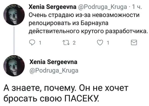 Разработчик не бросает пасеку