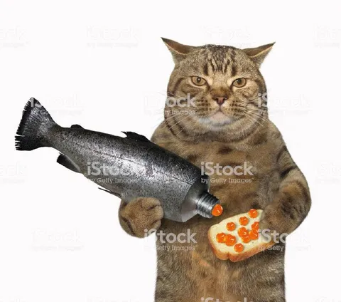 Кот с рыбным соусом
