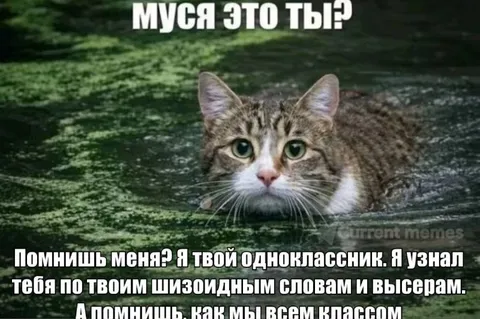 Муся, это ты?