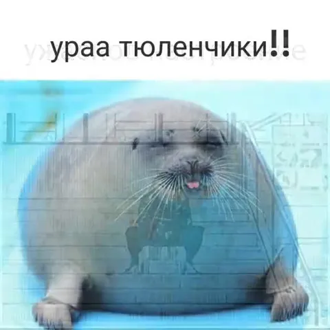 Ужасное настроение и тюленчики
