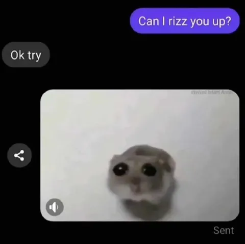 Can I Rizz You Up?