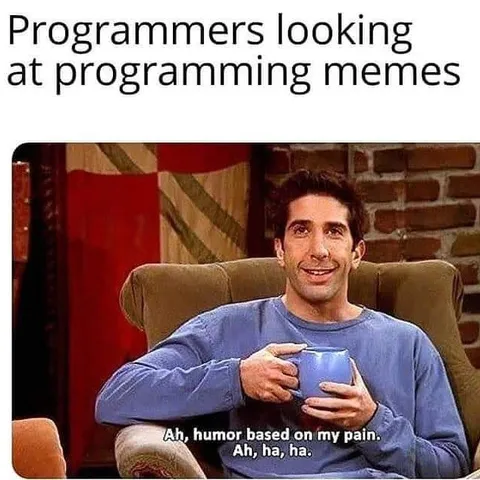 Programmers Looking at Programming Memes