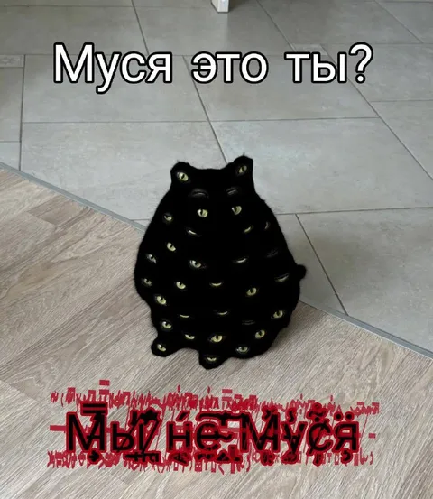 Муся это ты?