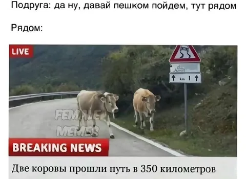 Подруга сказала, что рядом