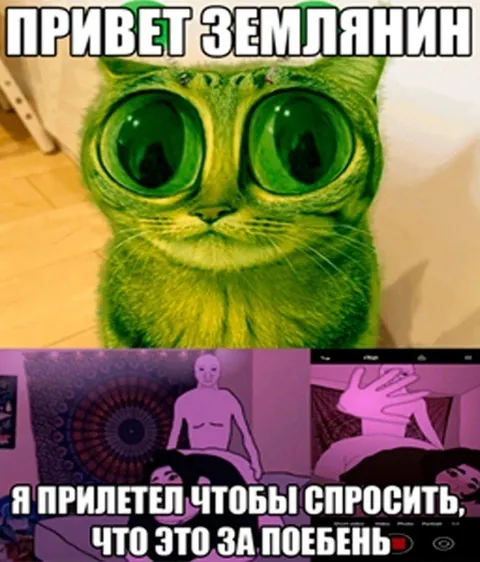 Инопланетянин спрашивает про полебень
