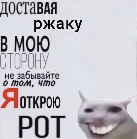 Доставляя ржаку в мою сторону
