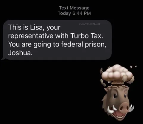 TurboTax Sends You to Prison
