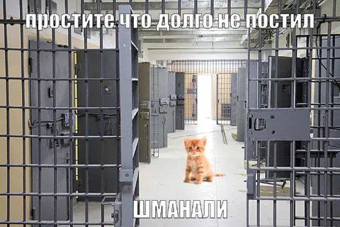 Котёнок в тюремном коридоре