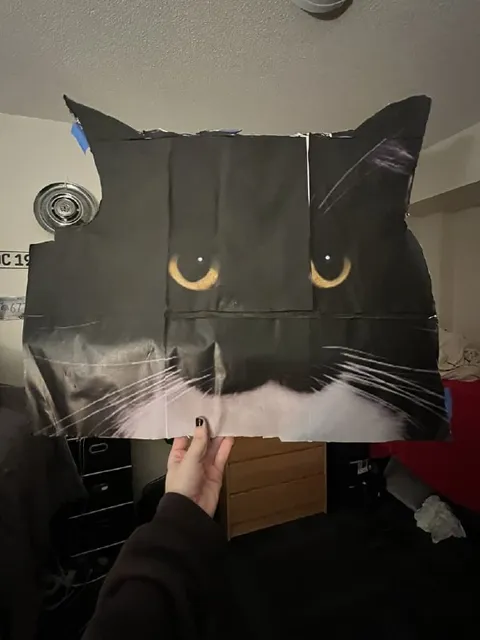 Картонная маска кота