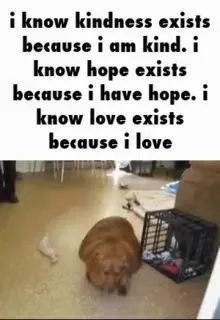 Kindness Exists Because I Love