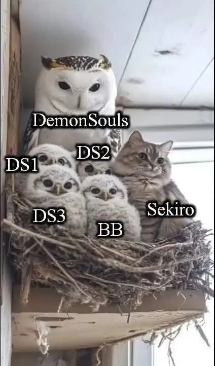 Soulsborne Owl Family