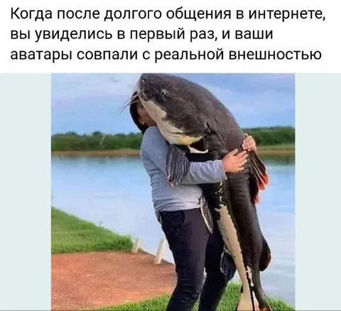 Аватары совпали с внешностью