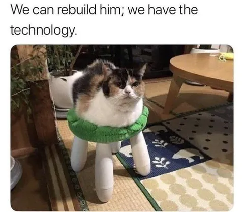 We Can Rebuild Him Cat