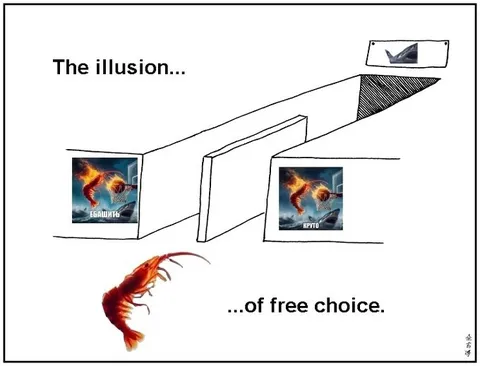 The Illusion of Free Choice