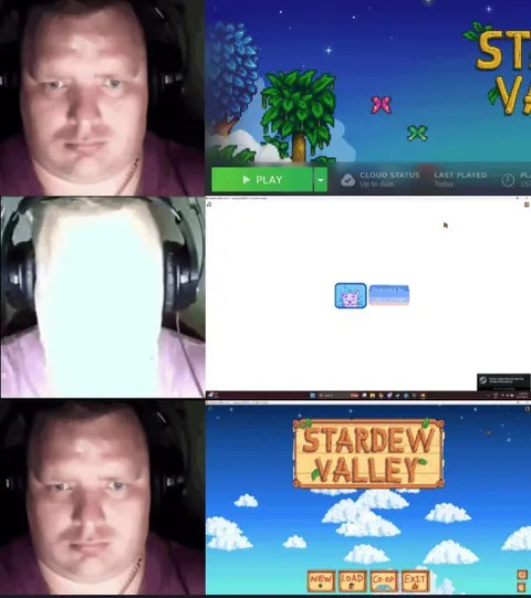 When Stardew Valley Finally Launches