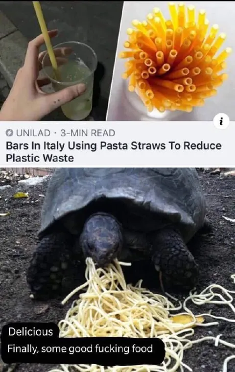 Turtle Enjoys Pasta Straws