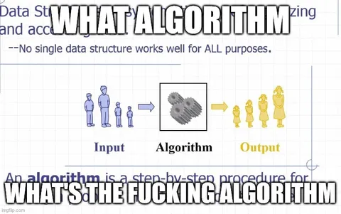 What the Fucking Algorithm