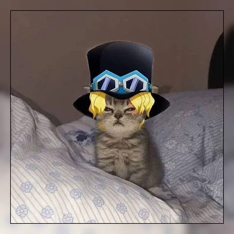 Кот в шляпе и очках